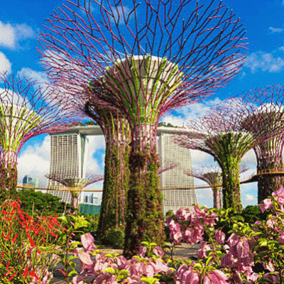 Tour Singapore 3N2D: Khám Phá Đảo Quốc Sư Tử